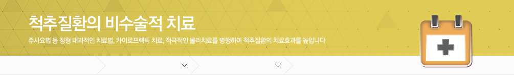 척추질환의 비수술적치료