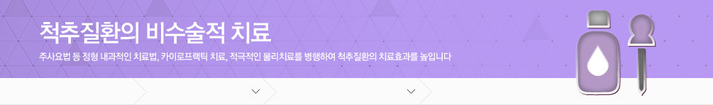 척추질환의 비수술적치료